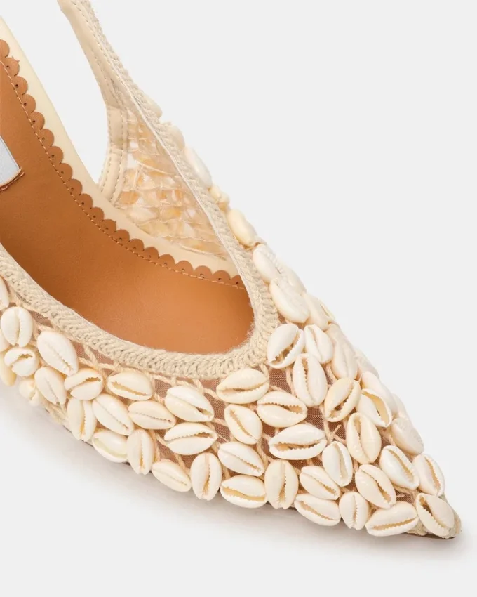 Andromeda Shell Natural Andromeda Shell Natural