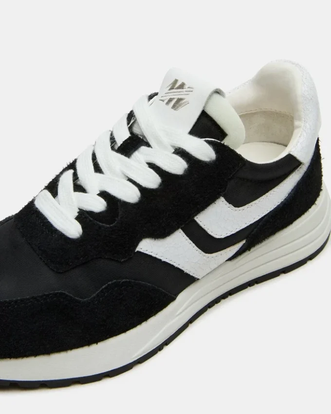 Burst Preto Multicolorido