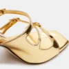 Couro dourado opulento