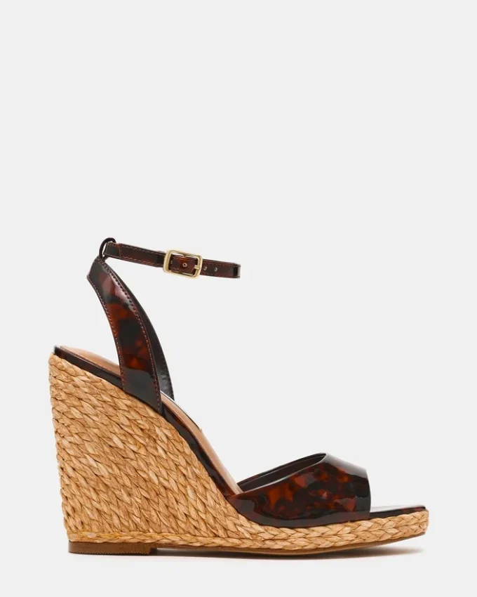 Devin Tortoise Devin Tortoise