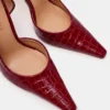 Elegante crocodilo vermelho Elegante crocodilo vermelho