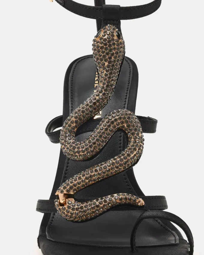 Python Preto Python Preto