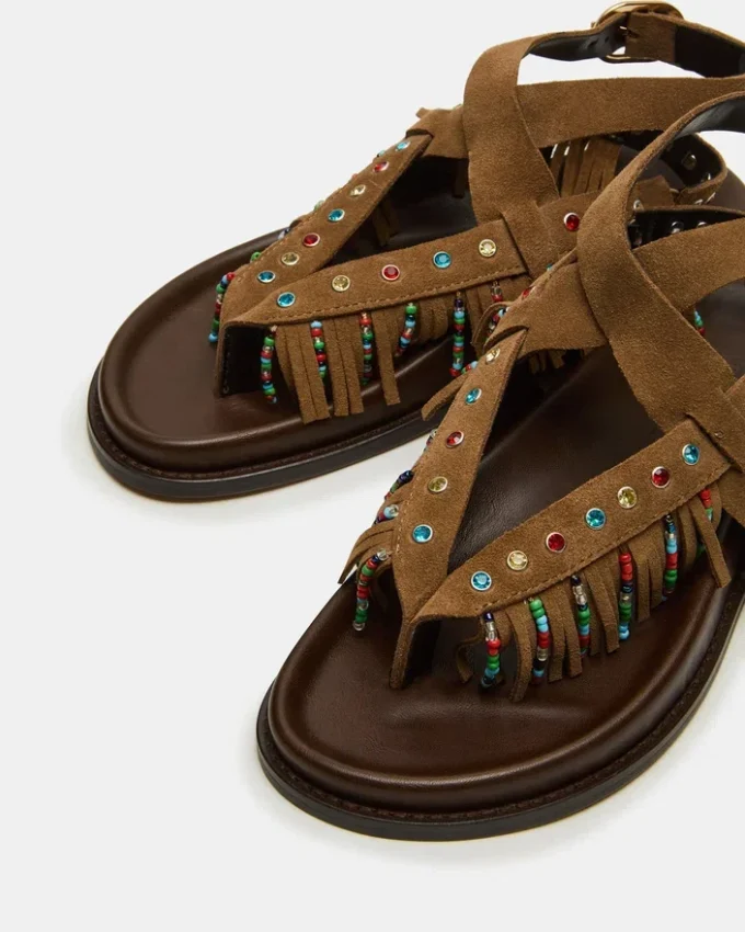 Wendell Camurça Castanha